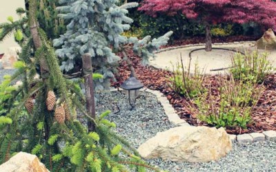 18