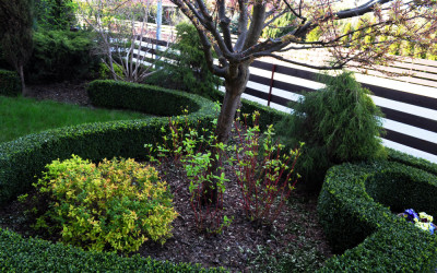 DSC_0109 kopia